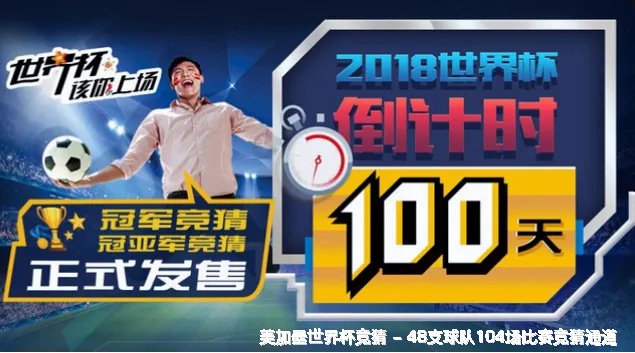 核心团队：专业与热忱的融合